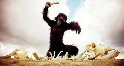 Фотография Golukov Alexey