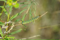 Виталий Маланин фотография #29 (источник - https://vk.com/id698311)