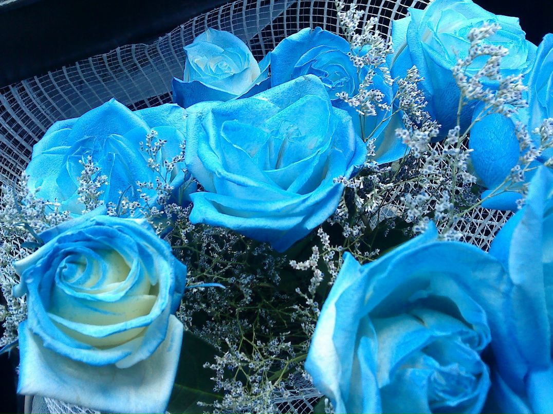 Иван Смирнов фотография #11