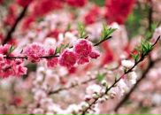 Фотография Никитиной Веры