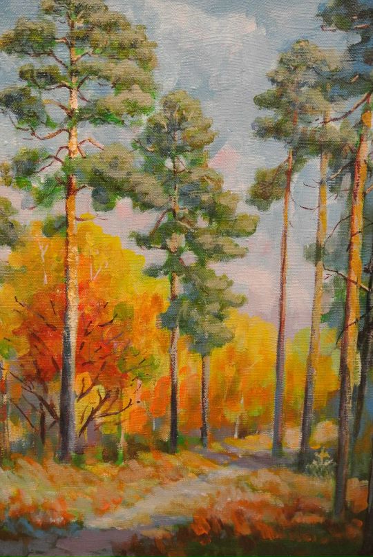 Антон Зыков фотография #43