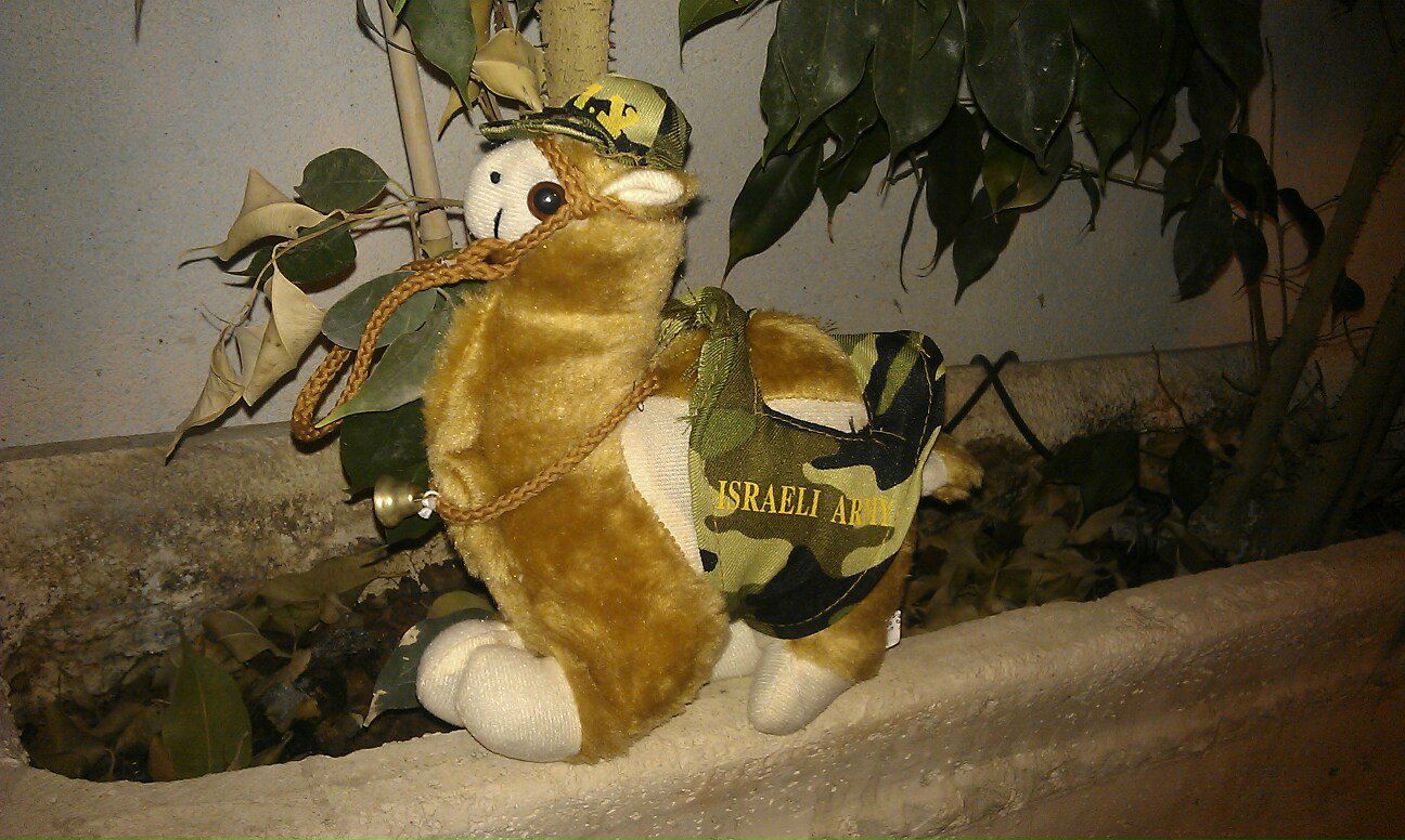 Дмитрий Бураков фотография #15