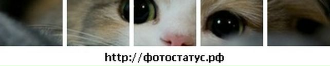 Марінка Шиманська фотография #39 (источник - https://vk.com/id88185048)