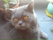 Фотография Волковой Оли