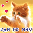 Діана Скрут фотография #35 (источник - https://vk.com/id144680470)