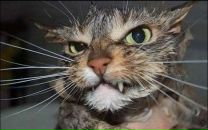 Фотография Валиахметова Руслана