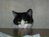 Фотография Викторовича Алексея