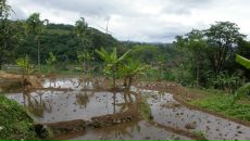 Елена Ли фотография #6 (источник - https://vk.com/id355235)