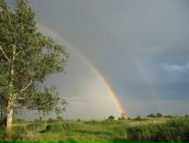 Юрій Циган фотография #31 (источник - https://vk.com/id18062436)