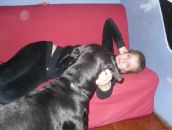 Маша Лиферова фотография #34 (источник - https://vk.com/id16468326)