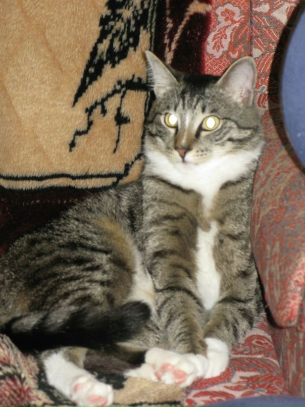 Дмитрий Трушев фотография #47