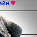 Вєталь Серйозний фотография #25 (источник - https://vk.com/id136859700)