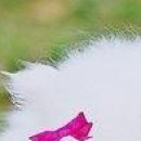 Вєталь Серйозний фотография #50 (источник - https://vk.com/id136859700)