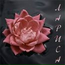 Фотография Дацун Ларисы