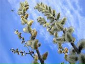 Фотография Степановой Наташи