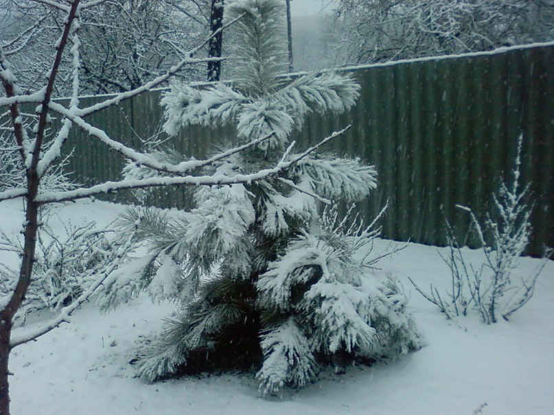 Павел Горячих фотография #39