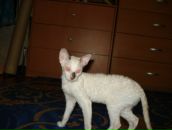 Фотография Молчановой Ирины