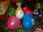 Фотография Медведевой Лидии