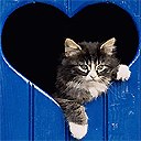 Анастасія Кащук фотография #6 (источник - https://vk.com/id166186870)