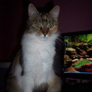 Іван Шпеник фотография #23 (источник - https://vk.com/id142746931)