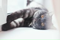 Фотография Лебедевой Галины