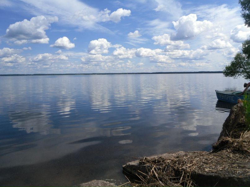 Сергей Петров фотография #14