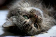 Фотография Катковой Александры