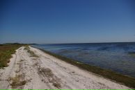 Дмитрий Гарынкин фотография #37 (источник - https://vk.com/id4169848)