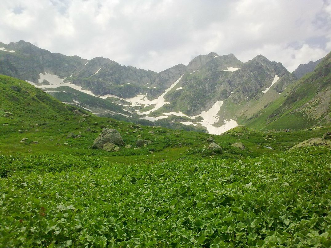 Igor Igor фотография #32