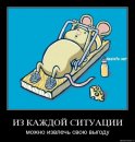 Игорь Королев фотография #39 (источник - https://vk.com/id44554)
