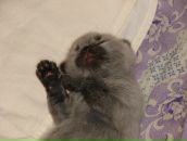 Фотография Поликарповой Елизаветы