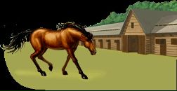 Фотография Табратовой Саши