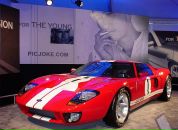 Фотография Архипова Елена