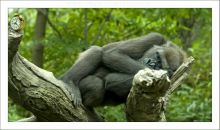 Фотография Остроумовой Маси