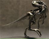 Фотография Ноздрин Сергей