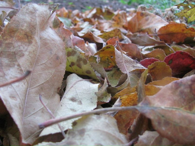 Сергей Царёв фотография #33