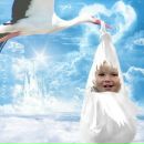 Микола Мосій фотография #35 (источник - https://vk.com/id7642615)