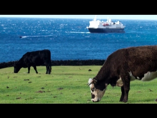 САМЫЙ ИЗОЛИРОВАННЫЙ ГОРОД В МИРЕ, СЮДА ТРУДНО ПОПАСТЬ И НЕВОЗМОЖНО ОСТАТЬСЯ