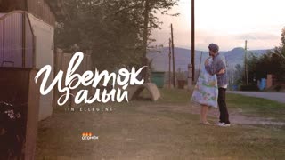 Премьера клипа! INtellegent (Интеллигент) - Цветок алый