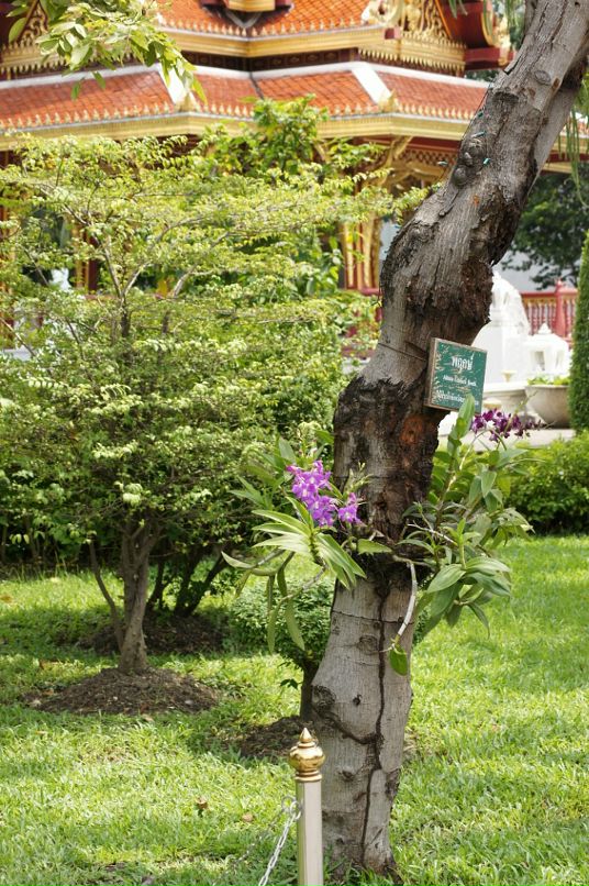 Иван Пешков фотография #13