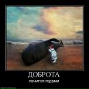 Детский Морг фотография #32 (источник - https://vk.com/id8447544)