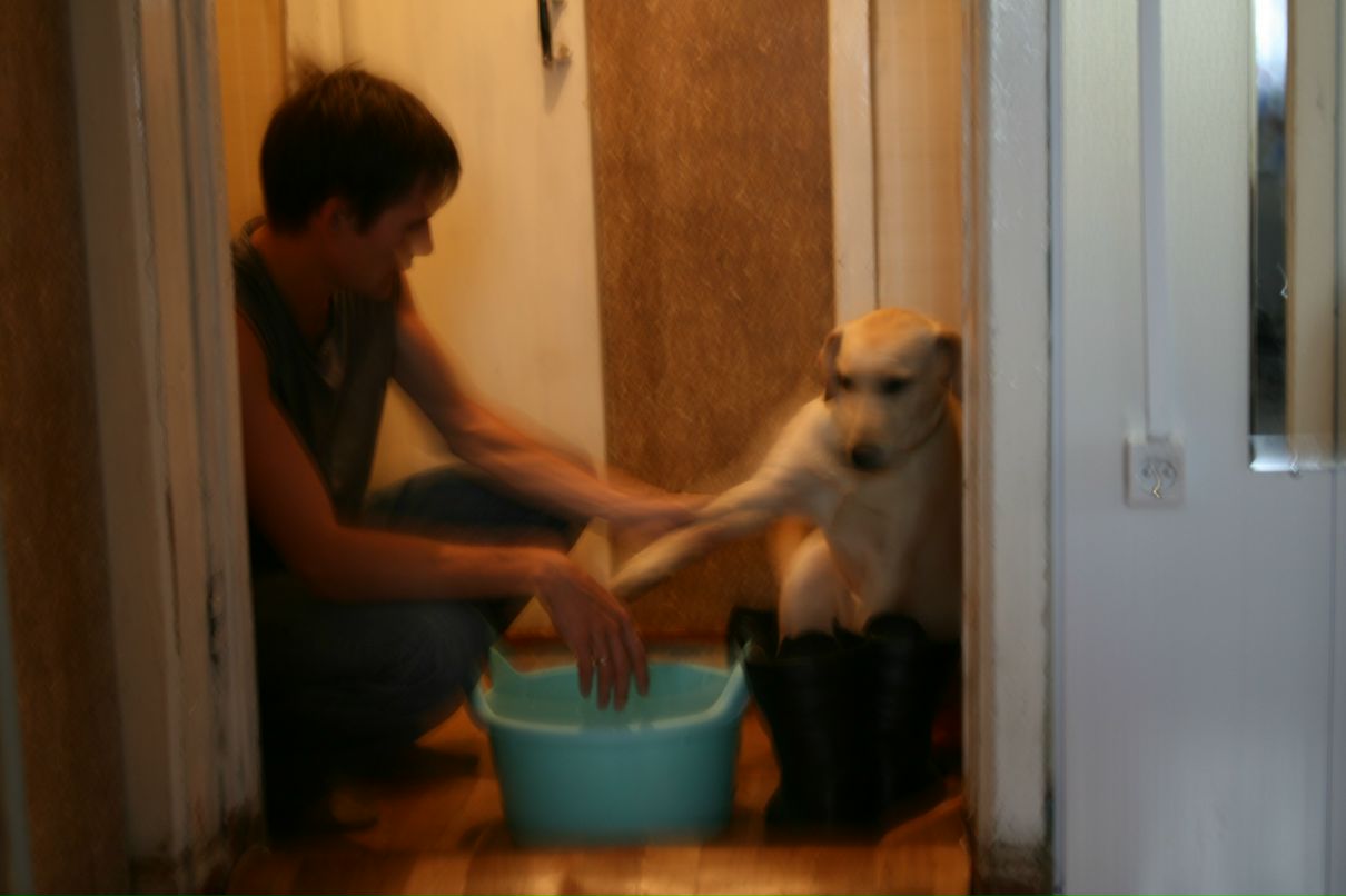 Владимир Дмитриев фотография #36