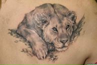 Фотография Звягинцевой Оксаны