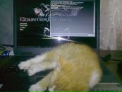 Сергій Руль фотография #30 (источник - https://vk.com/id50666197)