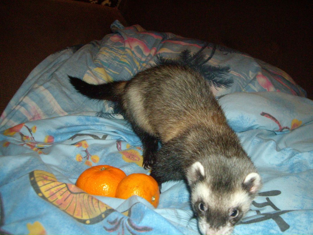 Дима Сергеевич фотография #20