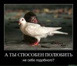 Анатолій Іванісік фотография #26 (источник - https://vk.com/id50425483)