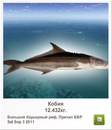 Иван Бабинец фотография #31 (источник - https://vk.com/id120069385)