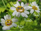 Віктор Потапенко фотография #14 (источник - https://vk.com/id73592012)