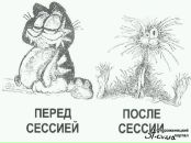 Фотография Бабочки Екатерины