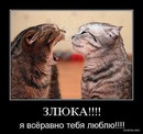 Тетяна Парінська фотография #27 (источник - https://vk.com/id136408907)